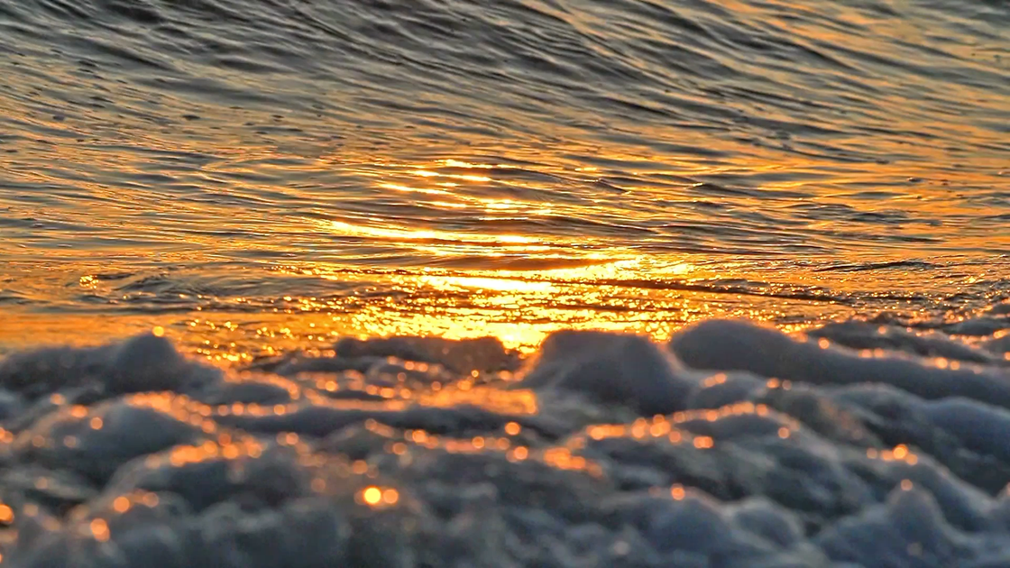 WAVES LINE – PureVision